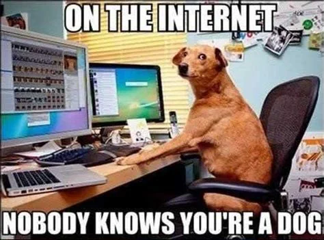 On the internet nobody knows you are a dog